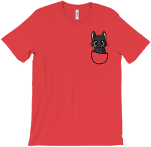 Salem in your Pocket - T-shirt
