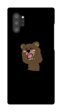 BEAR CASE