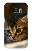 pamplemousse2stv Samsung Phone Cases