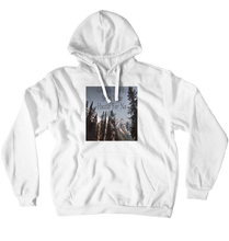 legalgenesis Hoodies (No-Zip/Pullover)