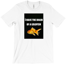 I have the brain of a goldfish