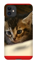 pamplemousse2stv iPhone Phone Cases