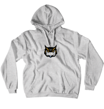 DLO hoodies