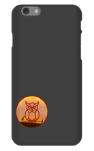 jl016 iPhone Phone Cases