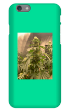 Hard On iPhone Case