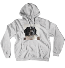 Storm Hoodie