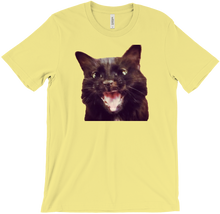 saltylemonpi T-Shirts
