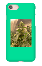 Hard On iPhone Case
