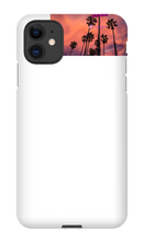 palm seas limited case