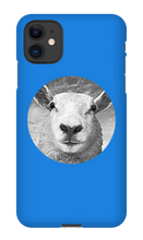GraySheep  iPhone Cases