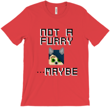 No History T-Shirt - Not A Furry
