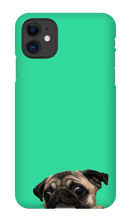 pugzzz iPhone Phone Cases