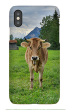 Iphone Phone Case Bavaria Cow
