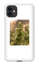 Hard On iPhone Case