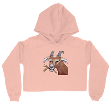 hoodie-women-cropped