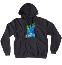 DizzyGaming Hoodies (No-Zip/Pullover)