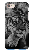 swyzz_jolino iPhone Phone Cases