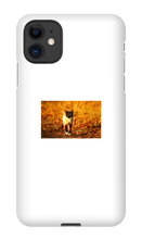 Aidan Rockel-Bigus iPhone Phone Cases
