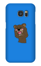 BEAR CASE