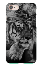 swyzz_jolino iPhone Phone Cases