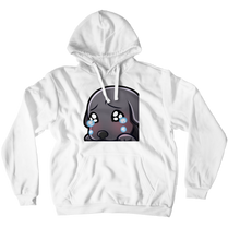 Hoodies (No-Zip/Pullover)