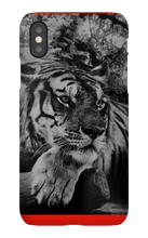 swyzz_jolino iPhone Phone Cases