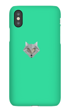 Trx Frosty's iPhone Cases