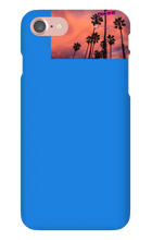 palm seas limited case