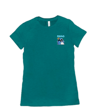 Swag Shirt (Womens)