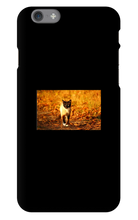 Aidan Rockel-Bigus iPhone Phone Cases