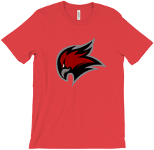 Pathleader64 Phoenix logo tee