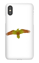 lt_raven98 iPhone Phone Cases