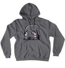 Hoodies (No-Zip/Pullover)