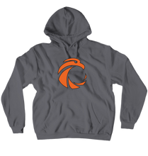 ifyspectron Hoodies (No-Zip/Pullover)