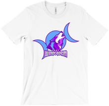 ladywindstorm T-Shirts