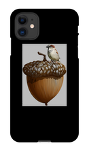 birds_and_squirrels iPhone Phone Cases