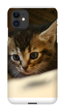 pamplemousse2stv iPhone Phone Cases