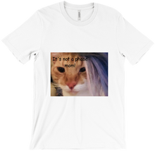 catgirl1224's "It's not a Phase Mom!"