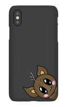 PO Cases