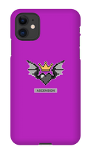 Ascension iPhone Case