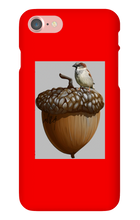 birds_and_squirrels iPhone Phone Cases