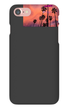 palm seas limited case