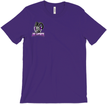 JSQ Esports mini logo T-Shirts