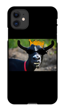 skyttefyren iPhone cover ged