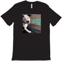 Gorge Sirius T-Shirts
