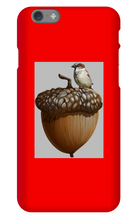 birds_and_squirrels iPhone Phone Cases