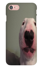 WALTER IPHONE CASE