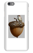 birds_and_squirrels iPhone Phone Cases