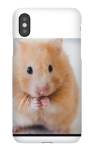 buckeyegamer10 iPhone Phone Cases