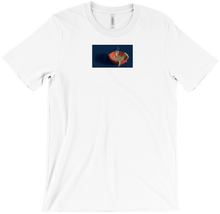 Noodles T-Shirts
